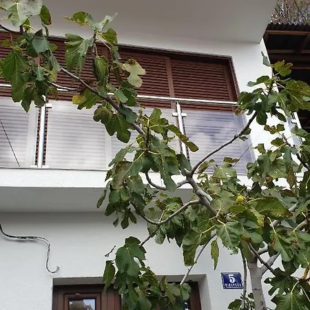 Artist's House *