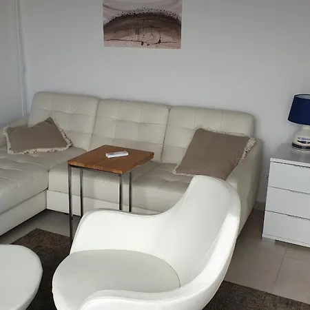Apartment Artist's House